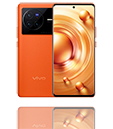 VIVOX80 
