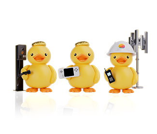 DUCK