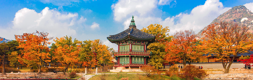 韓國漫遊通 SKT、KT 4G 上網